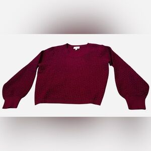 Lucy Paris Women's Crewneck Sweater in Burgundy
